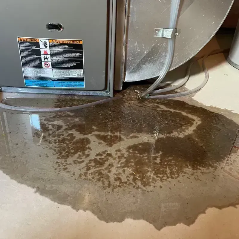 Appliance Leak Cleanup in Pope County, IL